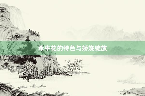 牵牛花的特色与娇娆绽放